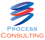 Process Consulting logo